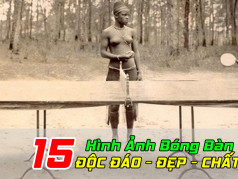 Kích Thước Bàn Bóng Bàn, Sân Bóng Bàn, Vợt Bóng Bàn Tiêu Chuẩn ITTF