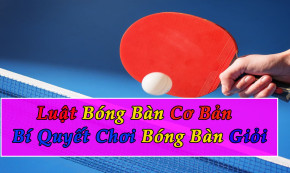 Kích Thước Bàn Bóng Bàn, Sân Bóng Bàn, Vợt Bóng Bàn Tiêu Chuẩn ITTF