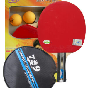 Vợt bóng bàn 729 2040