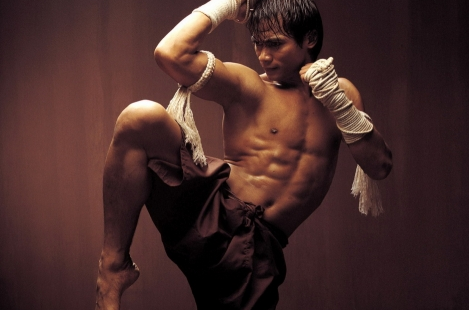 Tập luyện võ thuật thường xuyên giúp cơ thể trở nên săn chắc như cao thủ Muay Thái Tony Jaa