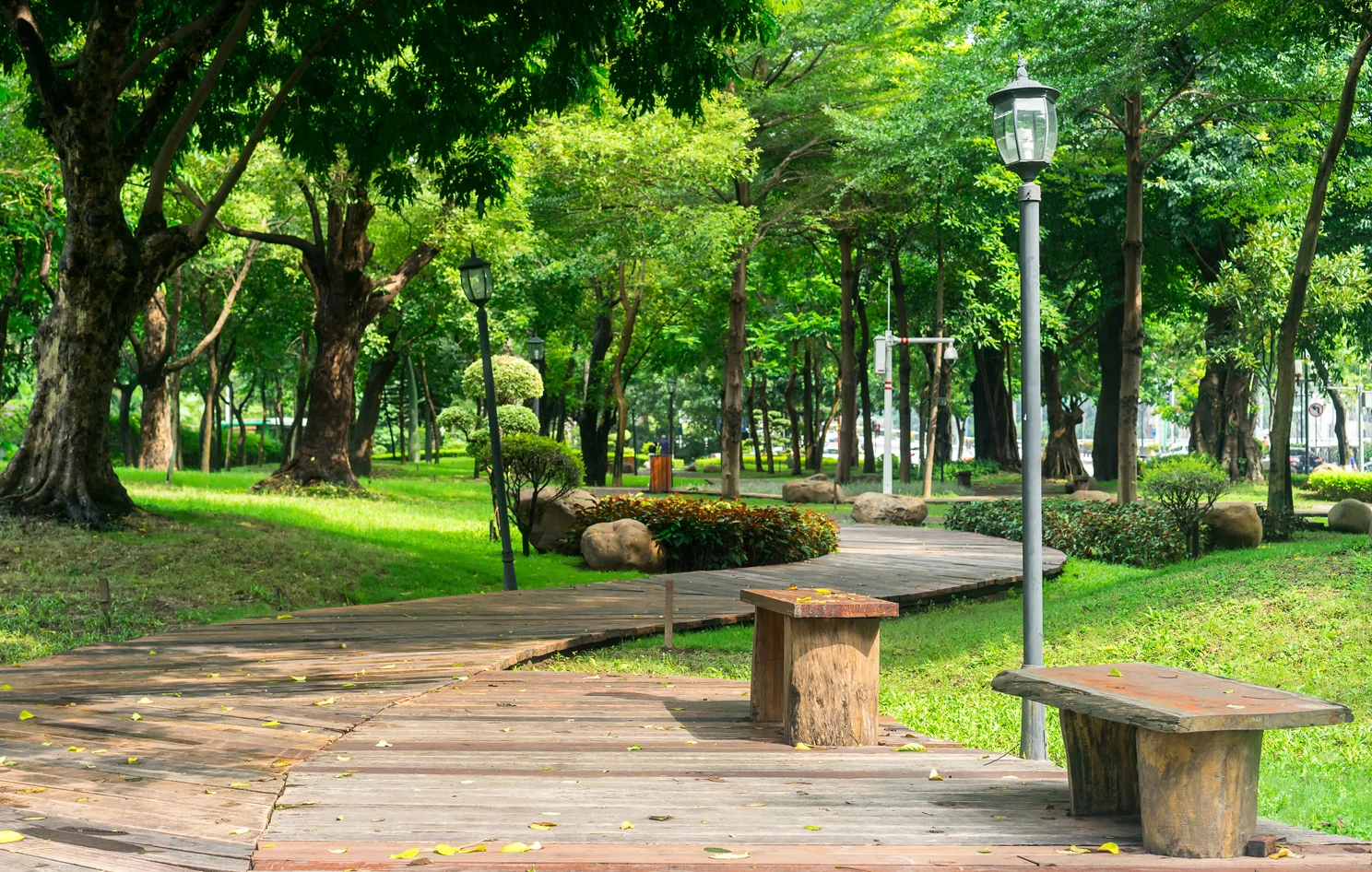 Một khung cảnh chụp tại công viên Hoàng Văn Thụ. Đẹp mê hồn!