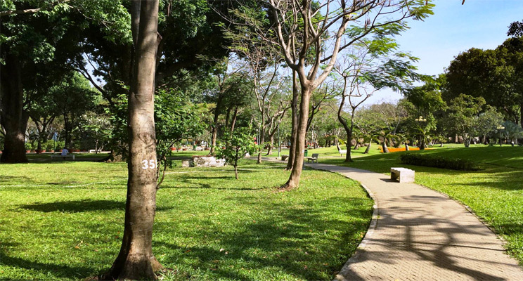 Công viên Gia Định với những thảm cỏ, cây xanh yên tĩnh, mát rượi rất phù hợp cho các buổi dã ngoại, picnic,..