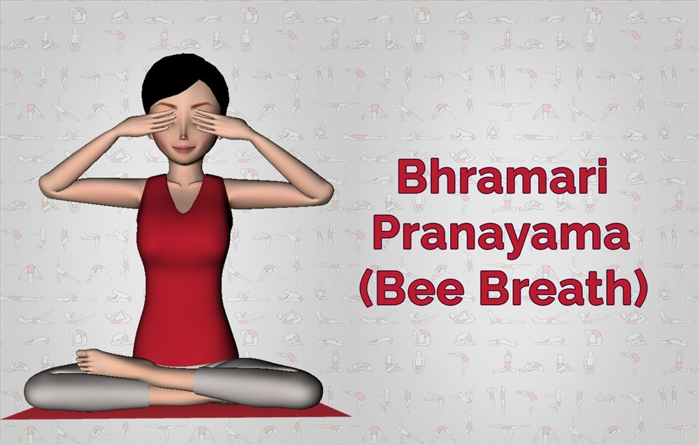 Bhramari Pranayama đã được chứng minh trong các nghiên cứu lâm sàng là có thể giảm nhịp thở và nhịp tim nhanh chóng nên sẽ giúp bạn thư giãn và ngủ ngon hơn