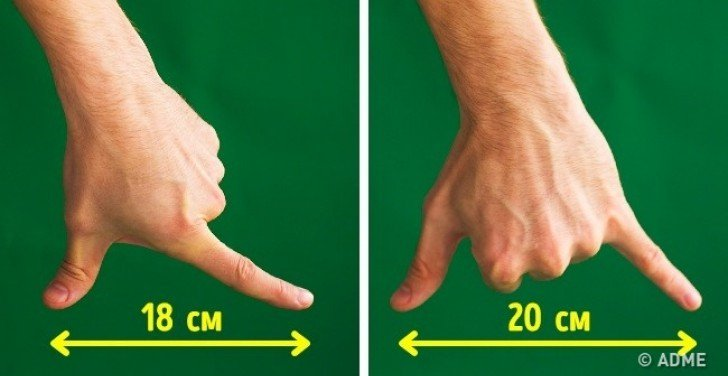 Kích thước trung bình của một gang tay theo một khảo sát