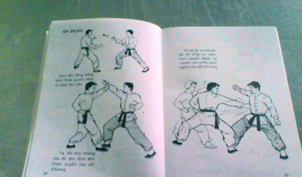 Sách võ thuật hướng dẫn chi tiết kèm hình ảnh minh họa rất dễ học