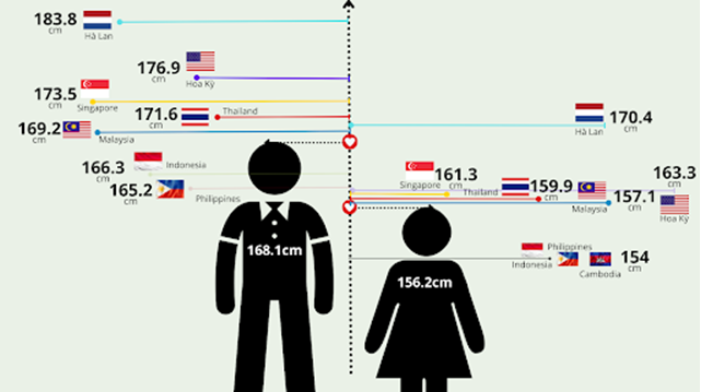 Chiều cao trung bình của dân cư trên thế giới