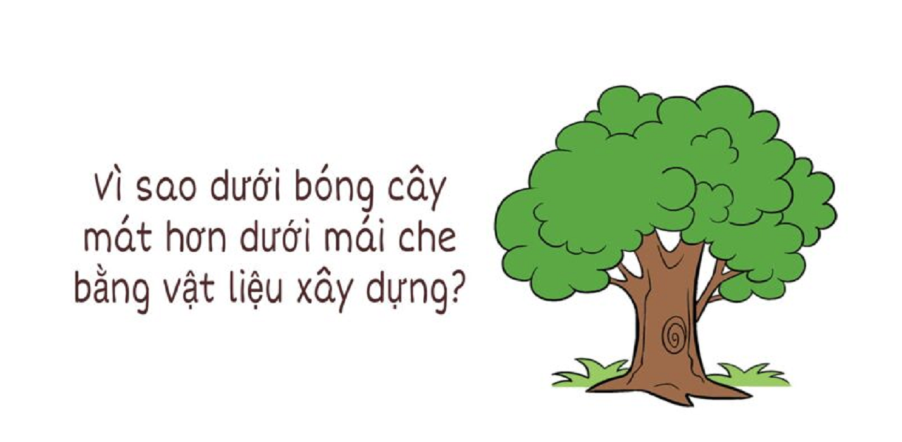 [SỰ THẬT] Vì Sao Khi Đứng Dưới Bóng Cây Lại Mát Hơn Mái Che