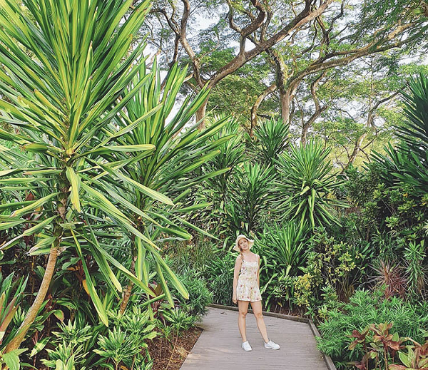 Du khách check-in tại vườn bách thảo Singapore