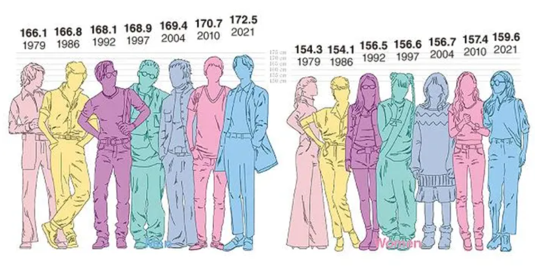 Sự thay đổi trong chiều cao trung bình của người Hàn Quốc