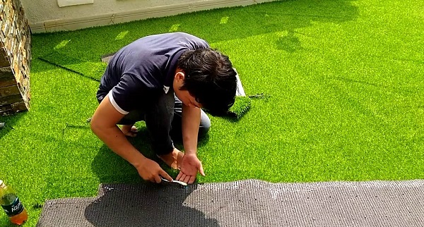 Trải cỏ và căn chỉnh tấm cỏ